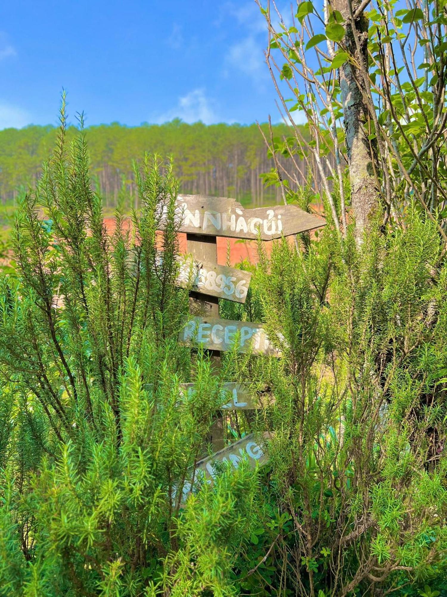 Vuon Nha Cui Homestay Da Lat Kültér fotó