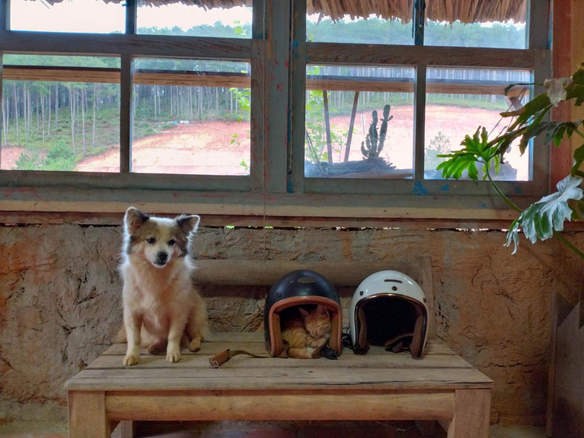 Vuon Nha Cui Homestay Da Lat Kültér fotó