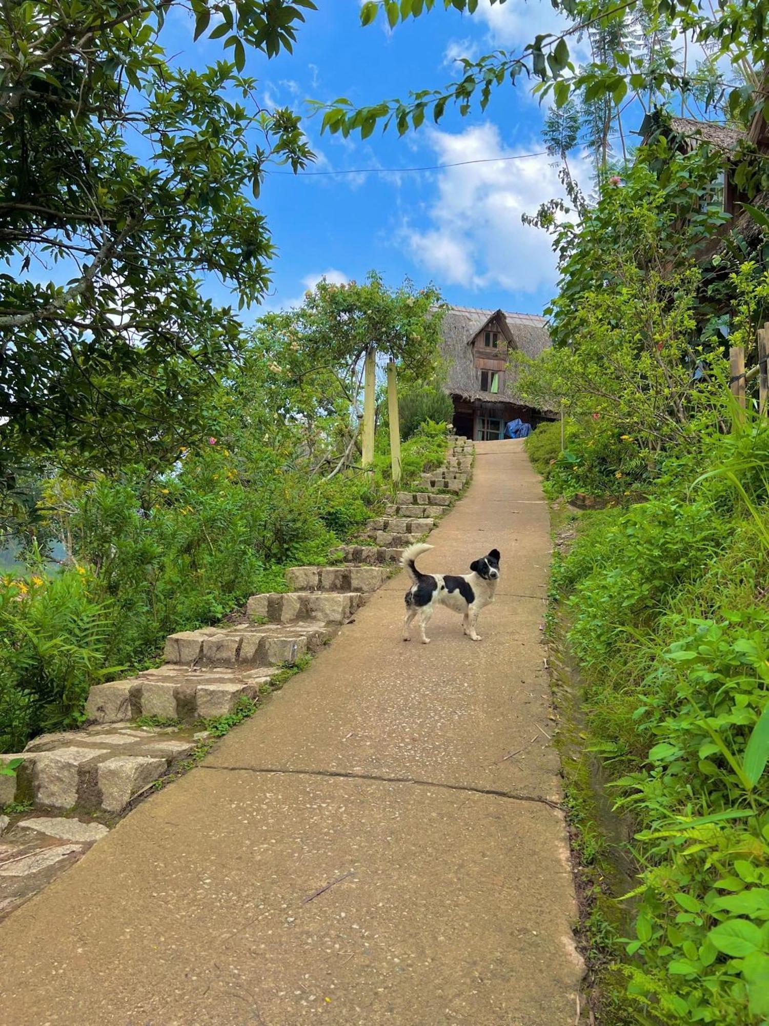 Vuon Nha Cui Homestay Da Lat Kültér fotó