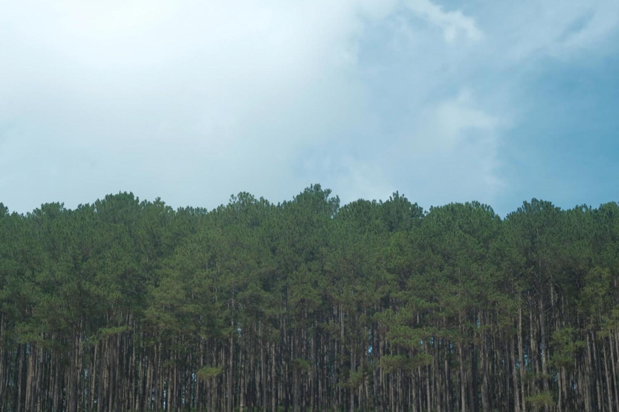 Vuon Nha Cui Homestay Da Lat Kültér fotó